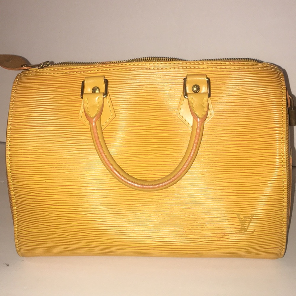 Louis Vuitton Epi
